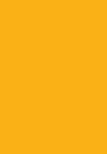 50 Blatt farbiges Druckerpapier 160g/m² / buntes Kopierpapier /Farbe: sonnengelb 50 Blatt farbiges Druckerpapier 160g/m² / buntes Kopierpapier /Farbe: sonnengelb von Livepac Office