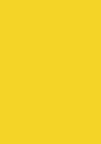 50 Blatt farbiges Druckerpapier 160g/m² / buntes Kopierpapier Farbe intensivgelb 50 Blatt farbiges Druckerpapier 160g/m² / buntes Kopierpapier Farbe intensivgelb von Livepac-Office