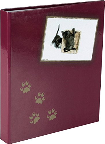 Livepac-Office Ringbuch mit Namensgravur - DIN A5-2-Ringmechanik - mit Katzenmotiv von Livepac-Office