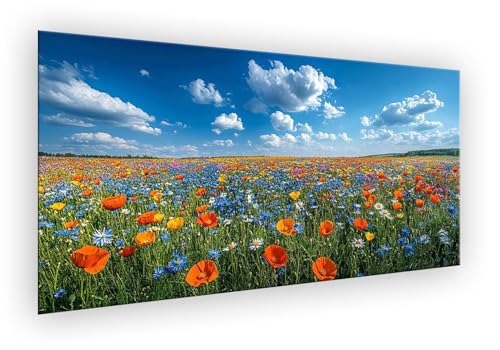 Himmel Malen Nach Zahlen Erwachsene, Wiese Malen Nach Zahlen 70x140cm Paint by Numbers DIY Handgemalt Ölgemälde Kit Mit Pinseln und Acrylfarbe Kit für Wanddeko, Geschenke für Frauen Ohne Rahmen XD-502 Himmel Malen Nach Zahlen Erwachsene, Wiese Malen Nach Zahlen 70x140cm Paint by Numbers DIY Handgemalt Ölgemälde Kit Mit Pinseln und Acrylfarbe Kit für Wanddeko, Geschenke für Frauen Ohne Rahmen XD-502 von Lixfagng