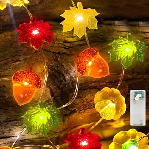 Liyade LED Lichterkette Herbst, 2.2M 20LED Kürbis Ahornblätter Eichel mit Timer Batterie, Herbst Innen Deko Fairy Lights für Erntedankfest Party von Liyade
