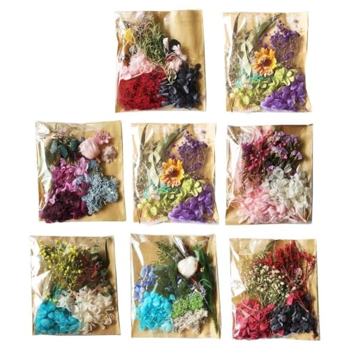 Ljmyy Echte gepresste Blumenblätter, natürliche getrocknete Blumen, Epoxidharz, Schmuckherstellung, Scrapbooking, Anhänger Ljmyy Echte gepresste Blumenblätter, natürliche getrocknete Blumen, Epoxidharz, Schmuckherstellung, Scrapbooking, Anhänger von Ljmyy