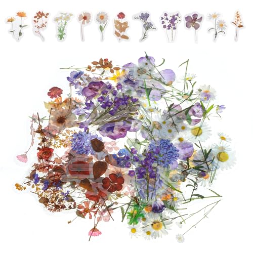 Lnngub 120 Stück Blumen Scrapbooking Aufkleber, Wasserfeste PET Blumenaufkleber Selbstklebende Bunte Flower Stickers Vintage Pflanzen Aufkleber für Scrapbooks, Fotoalben, Notizblöcke, Karten, Handwerk Lnngub 120 Stück Blumen Scrapbooking Aufkleber, Wasserfeste PET Blumenaufkleber Selbstklebende Bunte Flower Stickers Vintage Pflanzen Aufkleber für Scrapbooks, Fotoalben, Notizblöcke, Karten, Handwerk von Lnngub