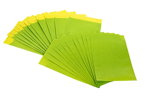 Logbuch-Verlag 25 kleine Mini-Tüten 7 x 9 + 2 cm Papiertüte Papierflachbeutel GRÜN LIMONE APFELGRÜN Verpackung mini Beutel Papier von Logbuch-Verlag