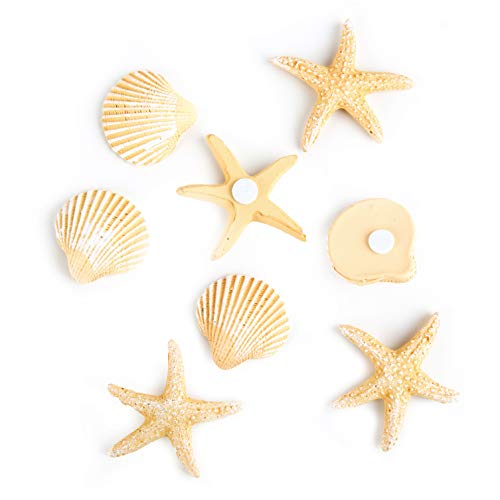 Logbuch-Verlag 8 mini Muscheln Seesterne Streuteile 3 bis 4 cm mit Klebepunkt in gelb weiß Natur - Maritime Deko sommerlich Tischdeko Meer Logbuch-Verlag 8 mini Muscheln Seesterne Streuteile 3 bis 4 cm mit Klebepunkt in gelb weiß Natur - Maritime Deko sommerlich Tischdeko Meer von Logbuch-Verlag