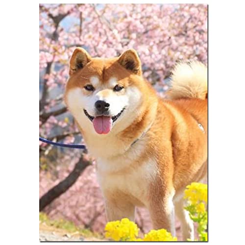 Lojinny 5D Diamond Painting Kits for Adults, Japanischer Akita Hund 40x50cm DIY Diamant Painting Bilder Full Drill Embroidery Pictures Arts by Number Kits Diamond Painting Kits for Home Wall Decor von Lojinny