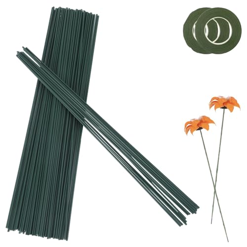 50 Stück Blumendraht Grün, 30cm Blumenstamm Steckdraht Floristik, Grün Basteldraht 2mm mit 2 Bände Floristenband, Draht zum Basteln für Die DIY-Blumenstraußherstellun(50) von LongHoneySong