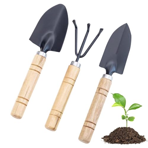 Lonwiner 3-teiliges Mini-Gartenwerkzeugset, Gartenwerkzeuge, 1 x Blumenkelle, 1 x Pflanzgabel für Topfpflanzen, für Garten, Pflanzen, Innen und Außen Lonwiner 3-teiliges Mini-Gartenwerkzeugset, Gartenwerkzeuge, 1 x Blumenkelle, 1 x Pflanzgabel für Topfpflanzen, für Garten, Pflanzen, Innen und Außen von Lonwiner
