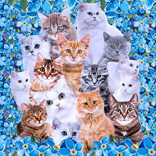 Katzen Möbelstoff,Meterware,süße 3D Katzenkollektion,Outdoor Stoff,Meterware,Kätzchen Katzenliebhaber,blauer Blumenblumen Dekorationsstoff für Polster und Heimwerkerprojekte,92x160cm,Orange Blau von Loussiesd