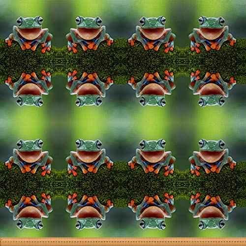 Loussiesd Frosch Stoff von The Yard Tropisch Wild Frosch Polsterstoff Nature Thema Tier Draussen Stoff Grün RePolsterstoff für Stühle 92x150cm Loussiesd Frosch Stoff von The Yard Tropisch Wild Frosch Polsterstoff Nature Thema Tier Draussen Stoff Grün RePolsterstoff für Stühle 92x150cm von Loussiesd