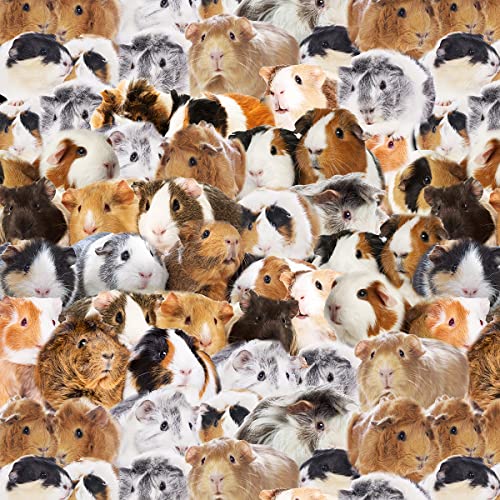 Meerschweinchen Polsterstoff,Meterware,Süßes Meerschweinchen,Outdoor Stoff,Meterware,reizendes 3D Haustier Meerschweinchen,Dekorationsstoff für Polster und Heimwerkerprojekte,92x160cm,Weißbraun Meerschweinchen Polsterstoff,Meterware,Süßes Meerschweinchen,Outdoor Stoff,Meterware,reizendes 3D Haustier Meerschweinchen,Dekorationsstoff für Polster und Heimwerkerprojekte,92x160cm,Weißbraun von Loussiesd