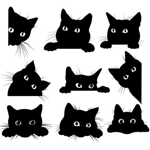 Outdoor Stoff mit schwarzen Katzen,Meterware,süßes Kätzchen Katzenliebhaber Polsterstoff für Stühle,hübsche schwarze Katzen Haustier Dekorationsstoff für Heimwerkerprojekte,92x160cm,schwarz weiß von Loussiesd