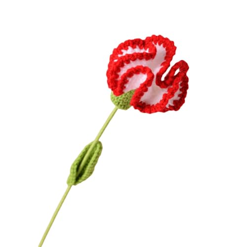 Lovehomily Gehäkelte Nelke, handgefertigte Häkelblumen, Exquisite handgewebte Nelkenblume, ästhetisches Finish for Muttertag, Jahrestag (J) von Lovehomily