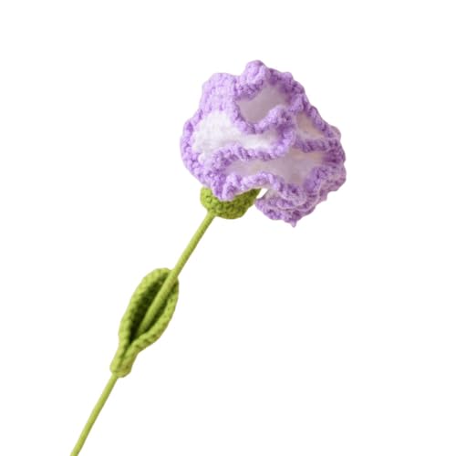 Lovehomily Gehäkelte Nelke, handgefertigte Häkelblumen, exquisit gehäkelte künstliche Nelke, ästhetisches Finish for Muttertag, Jahrestag (I) von Lovehomily