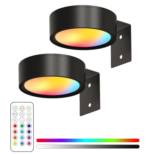 magnetisches mallicht mit 13 beleuchtungsmodi, magnetisches mallicht, bilderleuchte kabellos, magnetisches mal licht, Kabellose Deko Malerleuchte mit Fernbedienung (Schwarz, 2PCS) von Lravokki