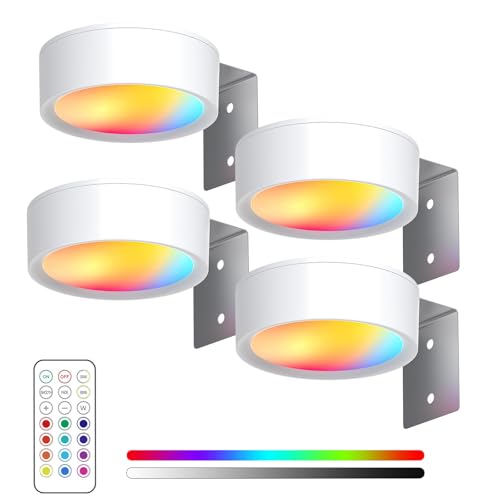magnetisches mallicht mit 13 beleuchtungsmodi, magnetisches mallicht, bilderleuchte kabellos, magnetisches mal licht, Kabellose Deko Malerleuchte mit Fernbedienung (Weiß, 4PCS) von Lravokki