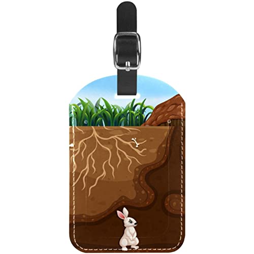 Reisetaschen-Etiketten aus PU-Leder, Hasenfamilie, die im Loch lebt, Kofferanhänger, personalisiertes Design von Lsjuee
