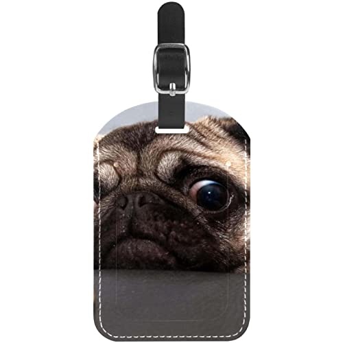 Reisetaschen-Etiketten aus PU-Leder, niedliche Hundekoffer-Etiketten, personalisiertes Design Reisetaschen-Etiketten aus PU-Leder, niedliche Hundekoffer-Etiketten, personalisiertes Design von Lsjuee