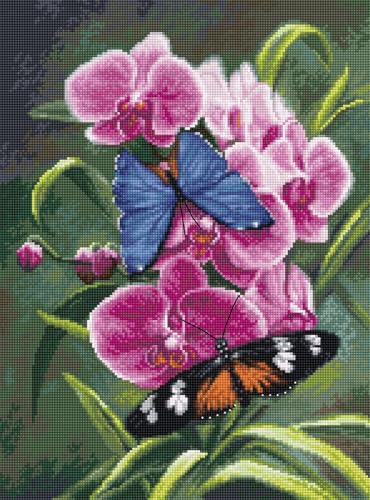 Kreuzstichmuster Luca-S – Poesie der Natur, P7010 von Luca-S