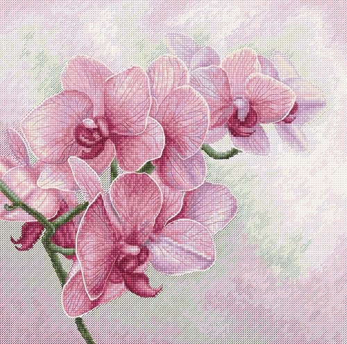 Kreuzstichmuster Luca-S – anmutige Orchideen, P7009 von Luca-S