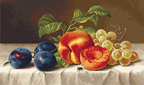 Luca-S B592 Kreuzstich Set, Mehrfarbig, 27x20cm von LUCAS