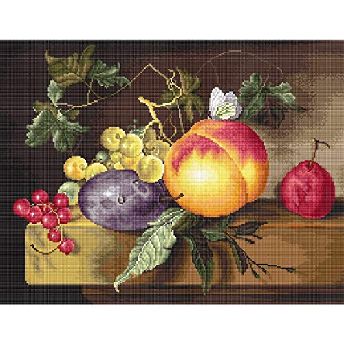 Luca-S B593 Kreuzstich Set, Mehrfarbig, 30x30cm von LUCAS