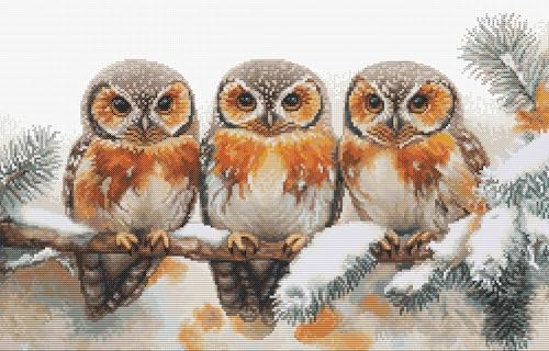 Luca-S Kreuzstich-Set Eulen in der Stille des Winters, BU5077 Kreuzstich-Set nach Zählmuster für Erwachsene, Handarbeits- und Stickset von Luca-S