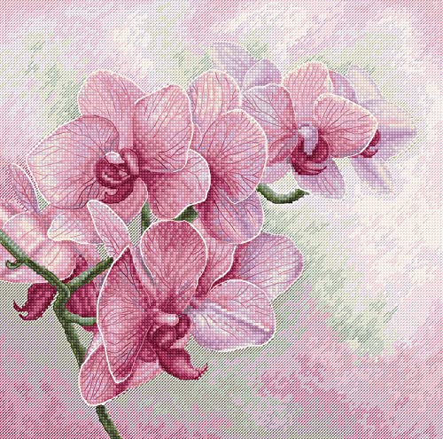 Luca-S Kreuzstich Set Graziöse Orchideen Zählmuster, Multifarbig Luca-S Kreuzstich Set Graziöse Orchideen Zählmuster, Multifarbig von Luca-S