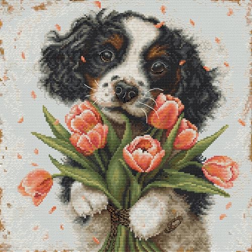 Luca-S Kreuzstich Stickpackung Der Cocker Spaniel-Welpe, Zählmuster Luca-S Kreuzstich Stickpackung Der Cocker Spaniel-Welpe, Zählmuster von Luca-S