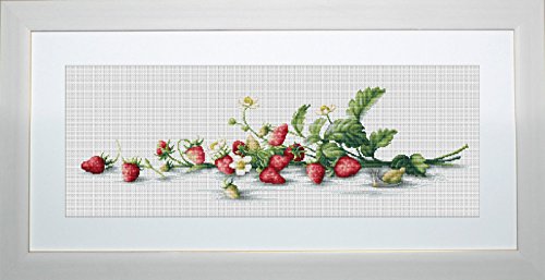 Luca-S Etüde mit Erdbeeren Kreuzstichset, Baumwolle, Mehrfarbig, 50x14,5cm von LUCAS