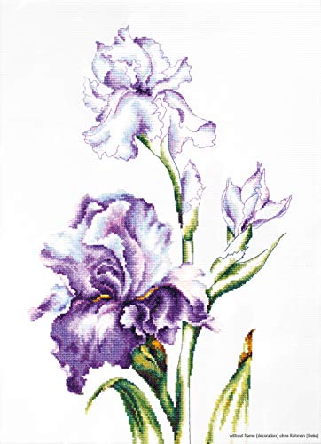 Luca-S Iris Kreuzstichset, Baumwolle, Mehrfarbig, 24x38cm von LUCAS