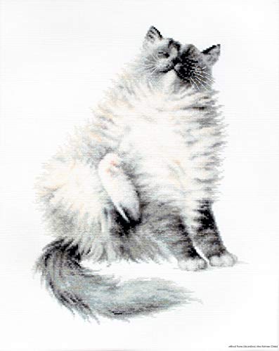 Luca-S Micky Kreuzstichset, Baumwolle, Mehrfarbig, 19,5x27cm Luca-S Micky Kreuzstichset, Baumwolle, Mehrfarbig, 19,5x27cm von LUCAS