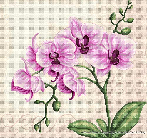 Luca-S Orchideen Kreuzstichset, Baumwolle, Mehrfarbig, 23x22,5cm von Luca-S