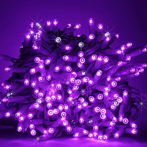 Luccika LED-Lichterkette für Weihnachten, professionell, MaxiLED, 8 mm, Flash, für Garten, Geschäft, Bar, Außenbereich (Violett mit weißem Blitz, Eisweiß, 10 Meter – 100 LEDs) von Luccika