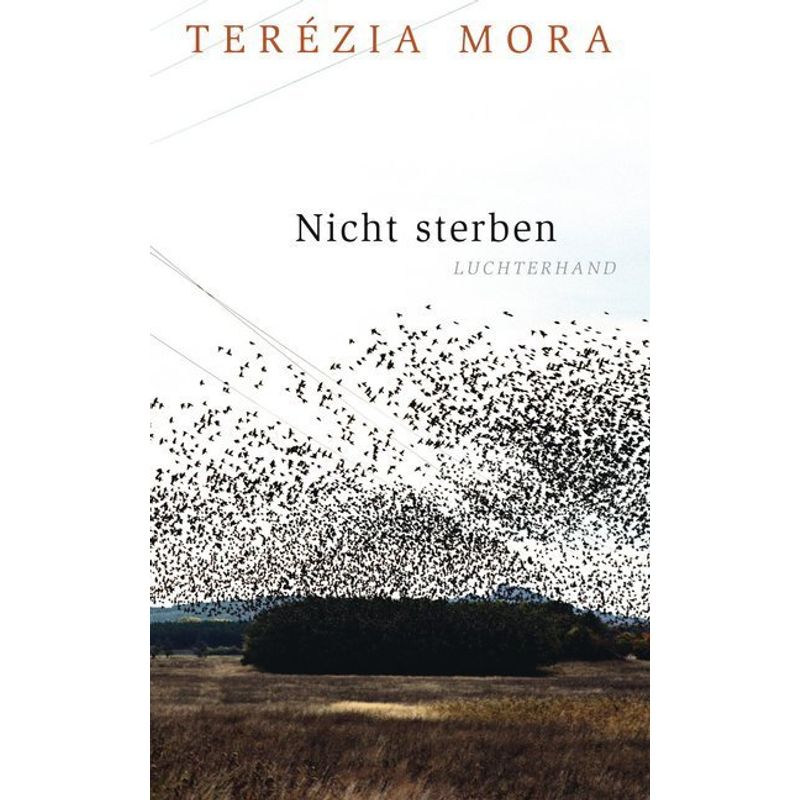 Nicht Sterben - Terézia Mora, Gebunden von Luchterhand Literaturverlag