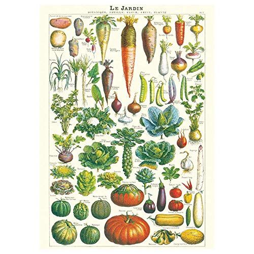 Luck and Luck Cavallini Le Jardin Garden Geschenkpapier / Poster Luck and Luck Cavallini Le Jardin Garden Geschenkpapier / Poster von Cavallini