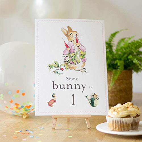 Luck and Luck Flopsy Rabbit Some Bunny is 1 Karte Staffelei Peter Rabbit Geburtstag 1. Geburtstag von Luck and Luck