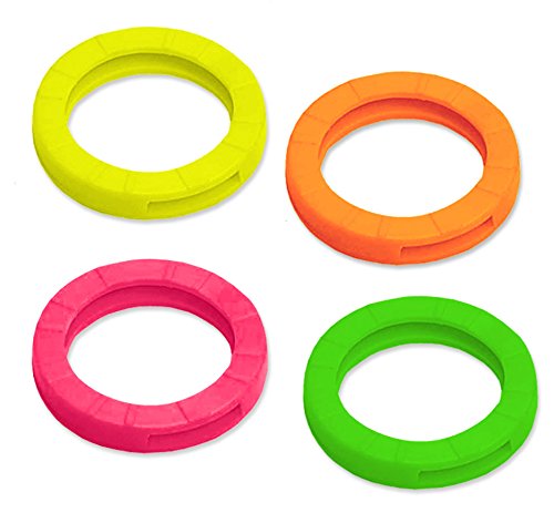 Lucky Line Große Schlüsselkennzeichnungen, 150 Stück pro Box, verschiedene Neonfarben (16617) von Lucky Line