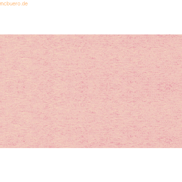 10 x Ludwig Bähr Bastelkrepp 250x50cm lachs von Ludwig Bähr