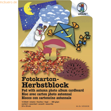 10 x Ludwig Bähr Fotokarton Herbst Block 23x33cm VE=12 Blatt sortiert 10 x Ludwig Bähr Fotokarton Herbst Block 23x33cm VE=12 Blatt sortiert von Ludwig Bähr