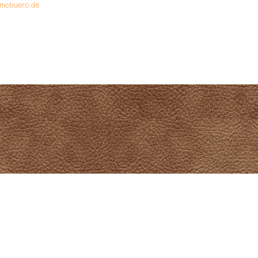 10 x Ludwig Bähr Motiv-Fotokarton 300g/qm 49,5x68cm Leder von Ludwig Bähr