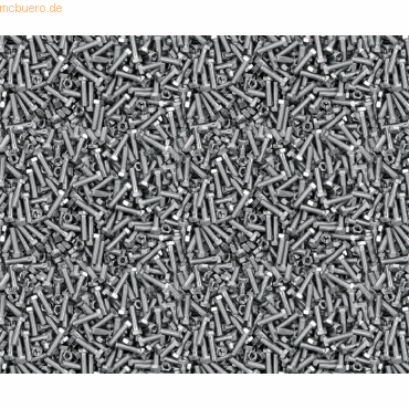 10 x Ludwig Bähr Motiv-Fotokarton 300g/qm 49,5x68cm Schrauben 10 x Ludwig Bähr Motiv-Fotokarton 300g/qm 49,5x68cm Schrauben von Ludwig Bähr