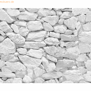 10 x Ludwig Bähr Motiv-Fotokarton 300g/qm 49,5x68cm Steinwand weiß 10 x Ludwig Bähr Motiv-Fotokarton 300g/qm 49,5x68cm Steinwand weiß von Ludwig Bähr