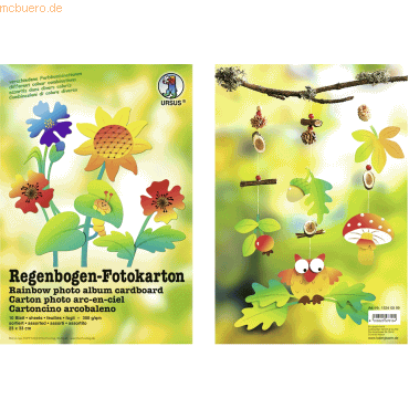 10 x Ludwig Bähr Regenbogen-Fotokarton 300g/qm 23x33cm VE=10 Bogen sor 10 x Ludwig Bähr Regenbogen-Fotokarton 300g/qm 23x33cm VE=10 Bogen sor von Ludwig Bähr