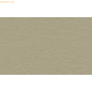 10 x Ludwig Bähr Tonpapier 130g/qm 50x70cm taupe von Ludwig Bähr