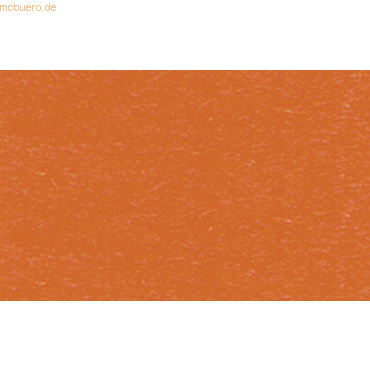 25 x Ludwig Bähr Tonpapier 130g/qm 50x70cm orange von Ludwig Bähr