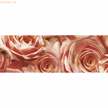 5 x Ludwig Bähr Transparentpapier 115g/qm A4 VE=5 Blatt Flora Rosen 5 x Ludwig Bähr Transparentpapier 115g/qm A4 VE=5 Blatt Flora Rosen von Ludwig Bähr