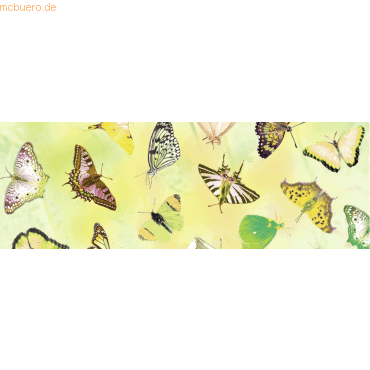 5 x Ludwig Bähr Transparentpapier 115g/qm A4 VE=5 Blatt Schmetterling 5 x Ludwig Bähr Transparentpapier 115g/qm A4 VE=5 Blatt Schmetterling von Ludwig Bähr