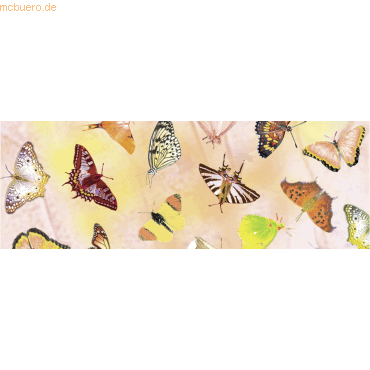 5 x Ludwig Bähr Transparentpapier 115g/qm A4 VE=5 Blatt Schmetterling 5 x Ludwig Bähr Transparentpapier 115g/qm A4 VE=5 Blatt Schmetterling von Ludwig Bähr