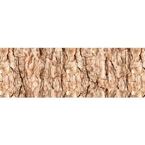 Ludwig Bähr 10 x Motiv-Fotokarton 300g/qm 49,5x68cm Baumrinde von Ludwig Bähr